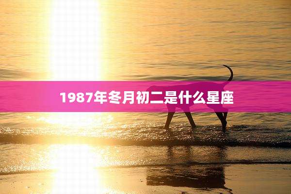 1987年冬月初二是什么星座