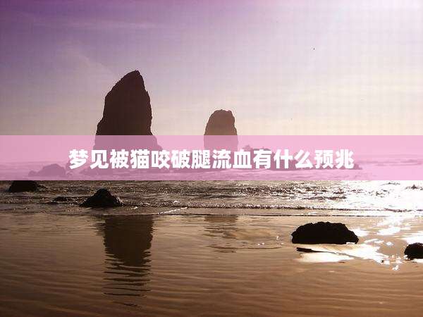 梦见被猫咬破腿流血有什么预兆