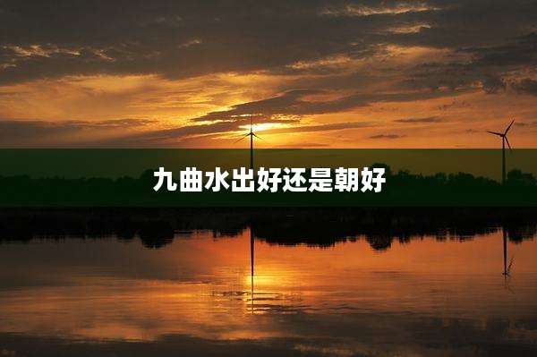 九曲水出好还是朝好