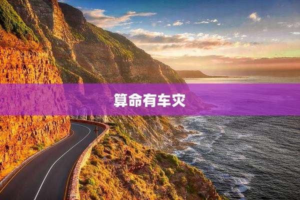 算命有车灾