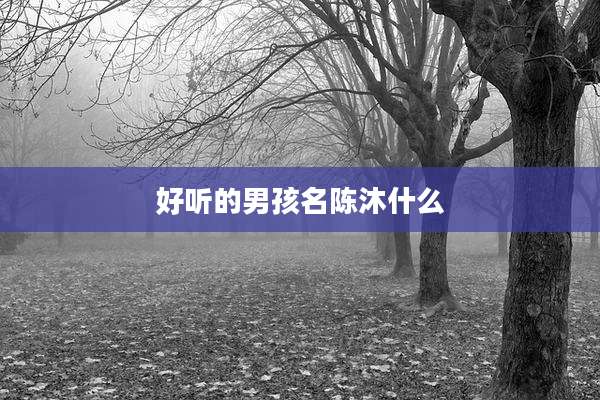 好听的男孩名陈沐什么