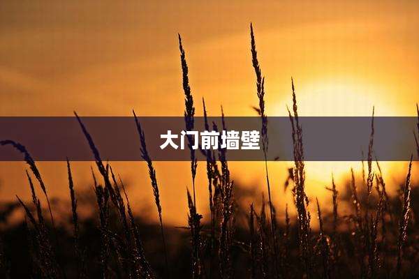 大门前墙壁