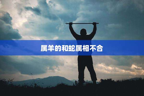属羊的和蛇属相不合
