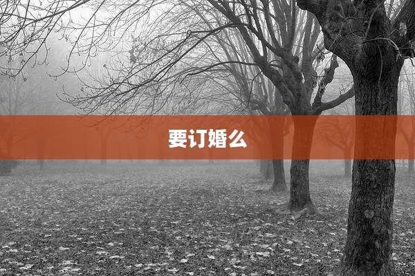 要订婚么