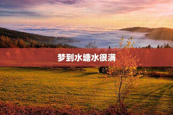 梦到水塘水很满