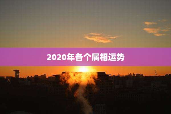 2020年各个属相运势