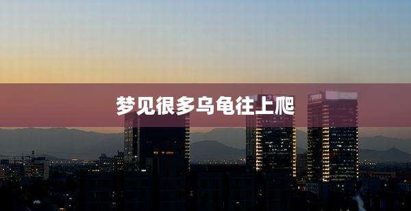梦见很多乌龟往上爬