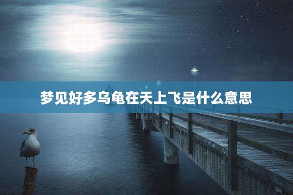 梦见好多乌龟在天上飞是什么意思