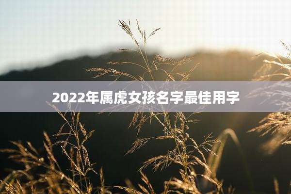 2022年属虎女孩名字最佳用字