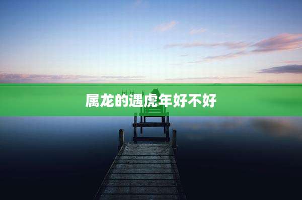 属龙的遇虎年好不好