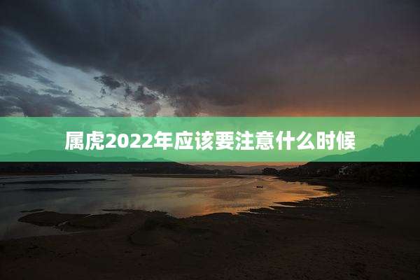 属虎2022年应该要注意什么时候