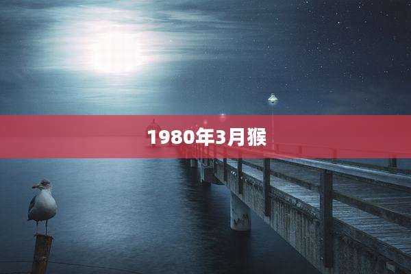 1980年3月猴