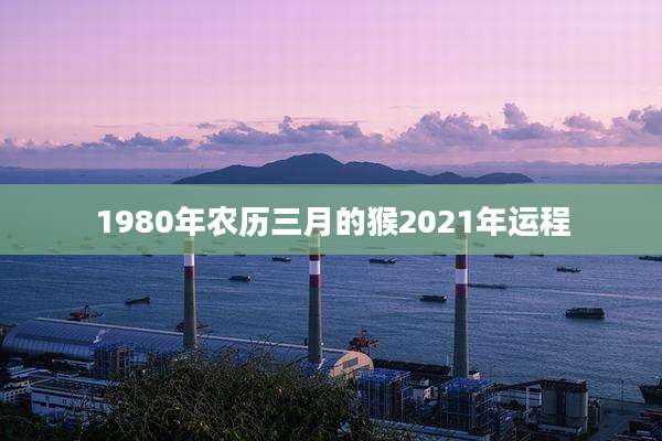 1980年农历三月的猴2021年运程