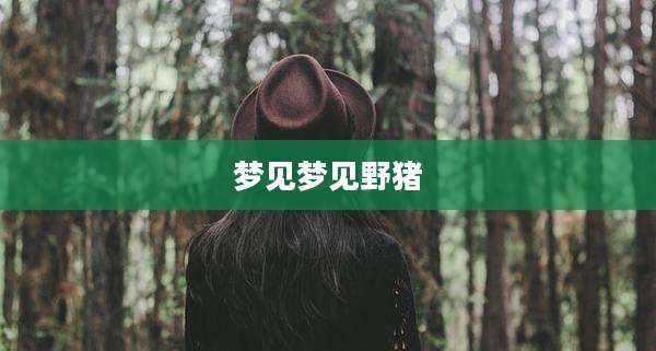 梦见梦见野猪