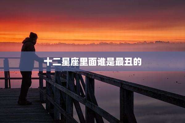 十二星座里面谁是最丑的