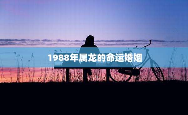 1988年属龙的命运婚姻
