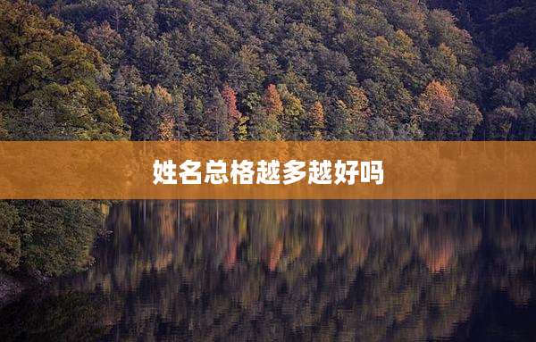 姓名总格越多越好吗