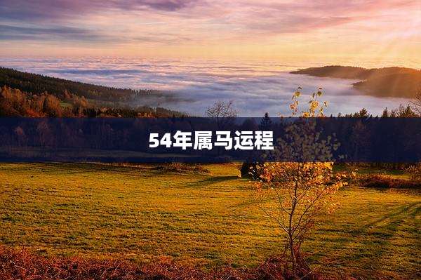 54年属马运程