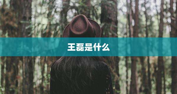 王磊是什么
