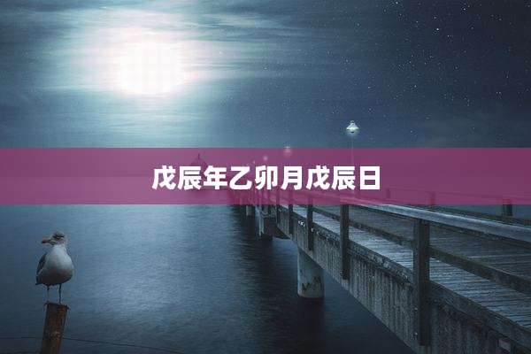 戊辰年乙卯月戊辰日