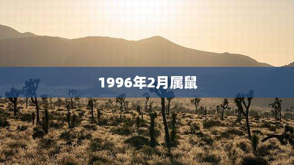1996年2月属鼠