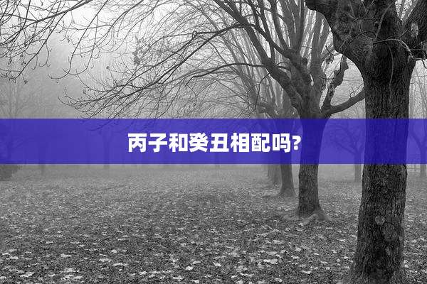丙子和癸丑相配吗?