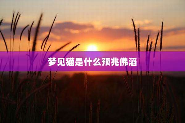梦见猫是什么预兆佛滔
