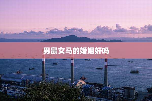 男鼠女马的婚姻好吗