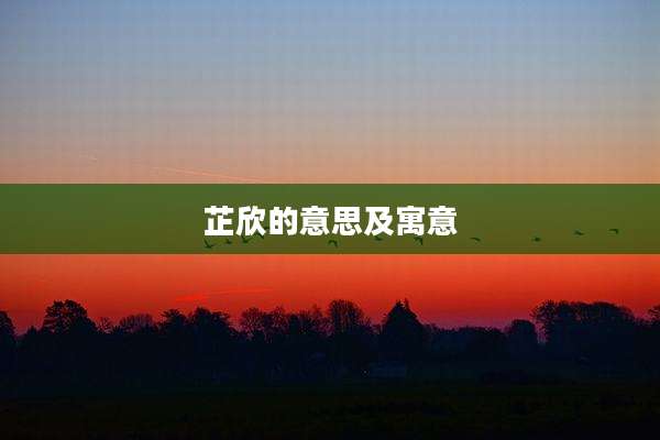 芷欣的意思及寓意