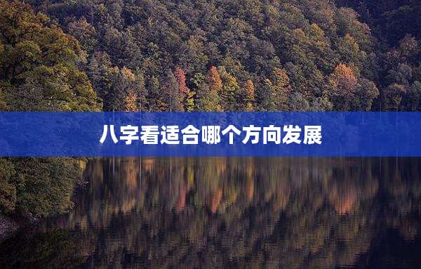 八字看适合哪个方向发展