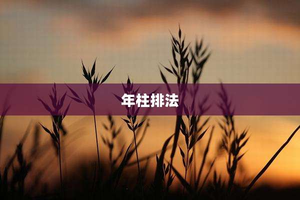 年柱排法