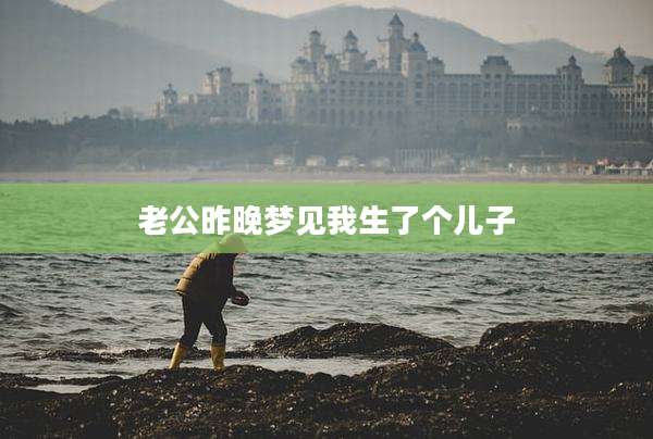 老公昨晚梦见我生了个儿子