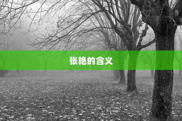 张艳的含义