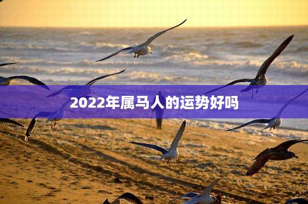 2022年属马人的运势好吗