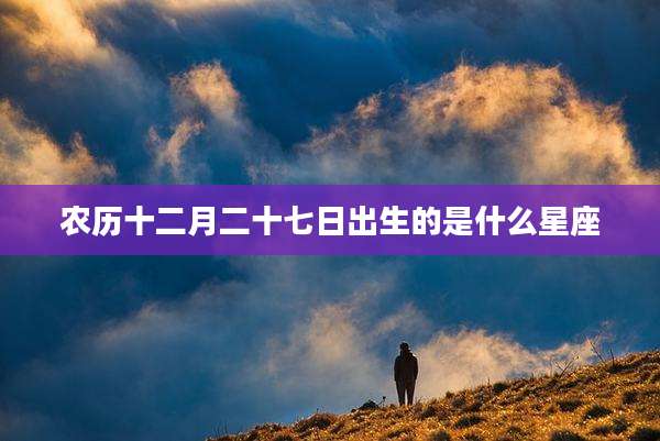 农历十二月二十七日出生的是什么星座