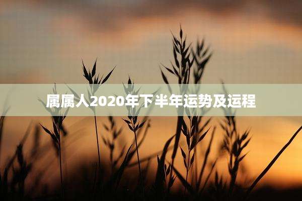 属属人2020年下半年运势及运程