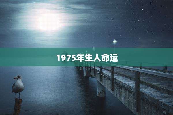 1975年生人命运