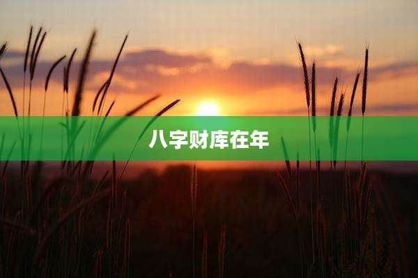 八字财库在年