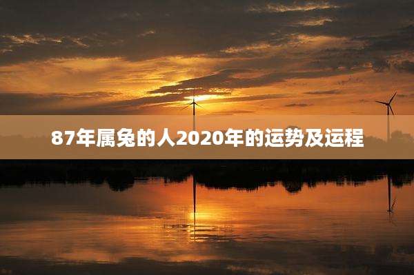 87年属兔的人2020年的运势及运程