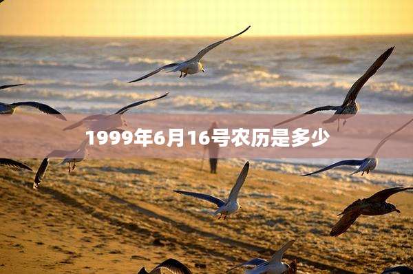 1999年6月16号农历是多少