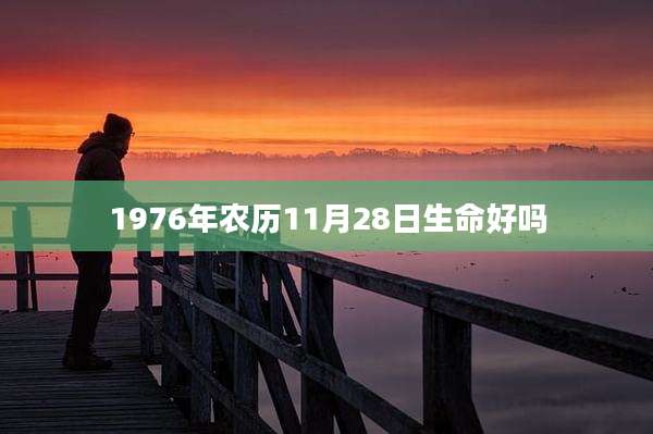 1976年农历11月28日生命好吗