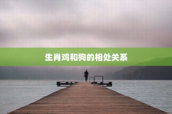 生肖鸡和狗的相处关系