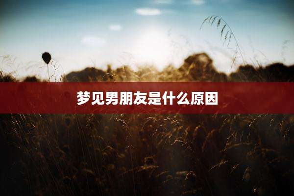 梦见男朋友是什么原因