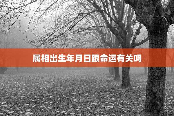 属相出生年月日跟命运有关吗