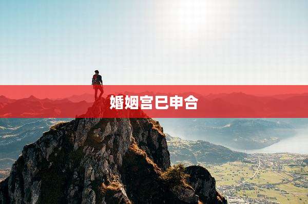 婚姻宫巳申合
