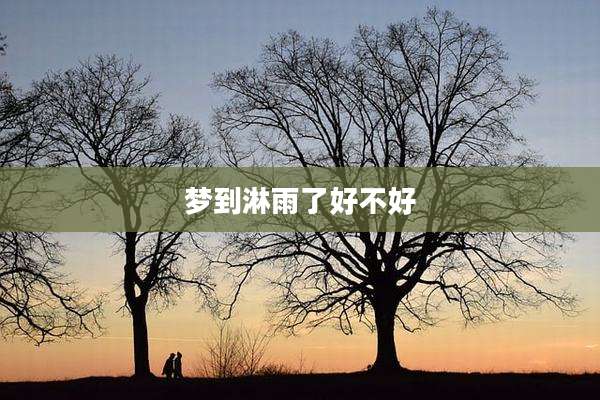 梦到淋雨了好不好