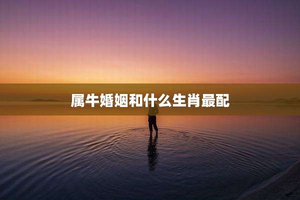 属牛婚姻和什么生肖最配
