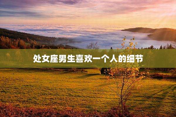 处女座男生喜欢一个人的细节