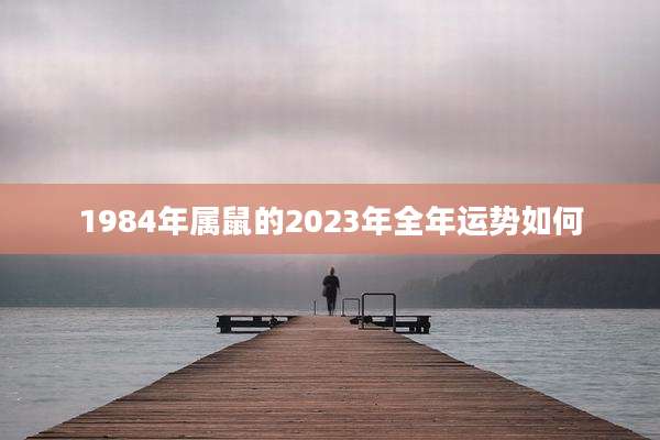 1984年属鼠的2023年全年运势如何