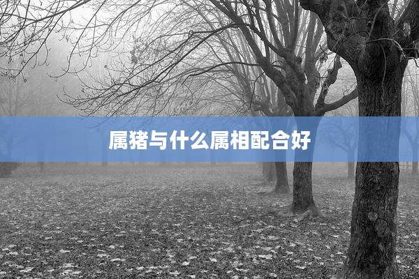 属猪与什么属相配合好